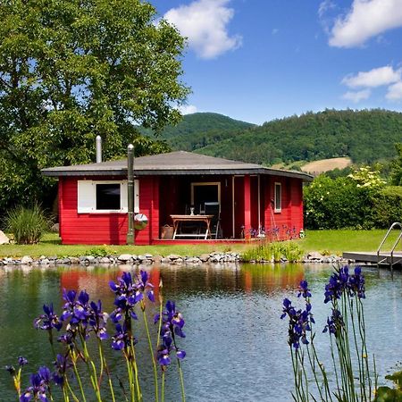 Romantic Wooden Lodge,Sauna,Schwimmteich,Alleinstehend,Absolut Ruhig Hessisch Oldendorf Exterior photo