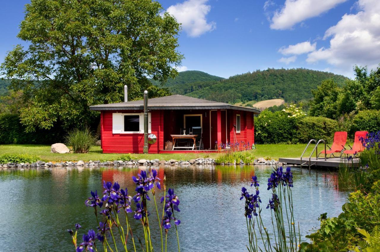 Romantic Wooden Lodge,Sauna,Schwimmteich,Alleinstehend,Absolut Ruhig Hessisch Oldendorf Exterior photo